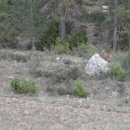 Hotel Torres de Albarracin Hotel