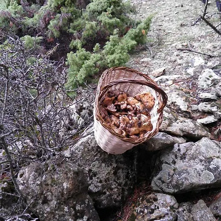 Hotel Torres de Albarracin