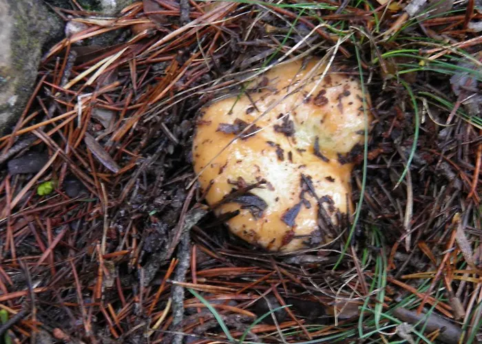 Hotel Torres De Albarracin Hotell Torres de Albarracín