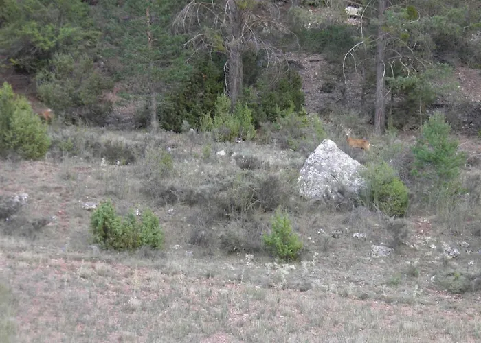 Hotel Torres De Albarracin Hotell