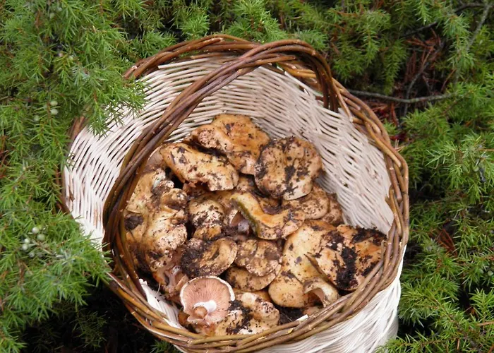 Hotel Torres De Albarracin Hotell *