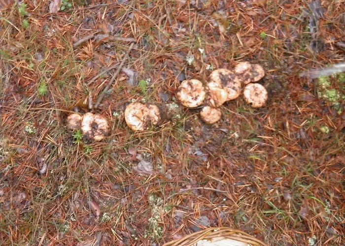 Hotell Hotel Torres De Albarracin *