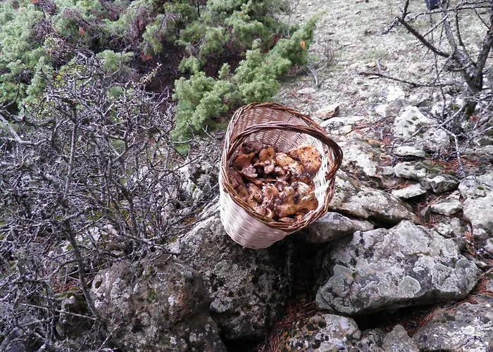 Hotel Torres De Albarracin